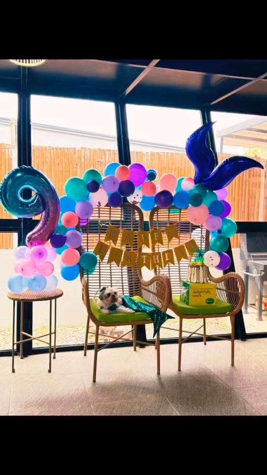 Post 2 by maggiethecuddlybears on TikTok (video)