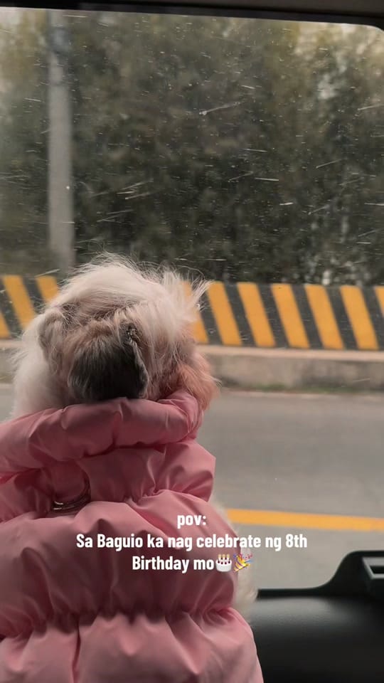 Post 4 by maggiethecuddlybears on TikTok (video)