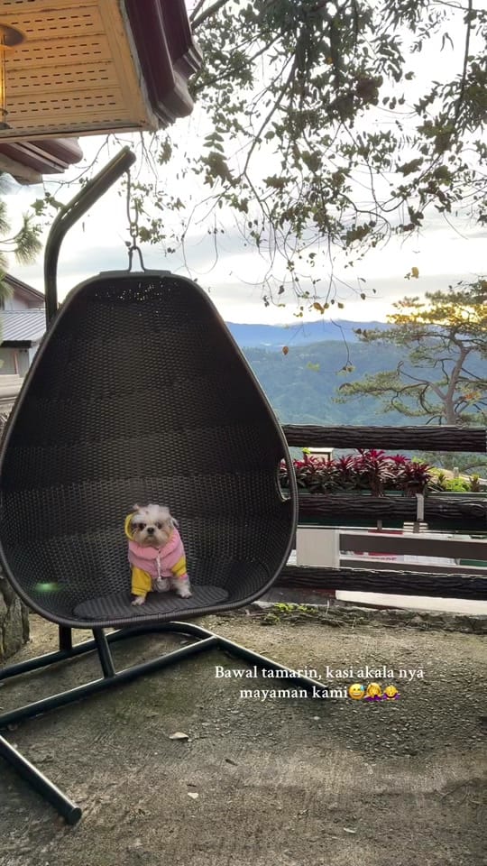 Post 3 by maggiethecuddlybears on TikTok (video)