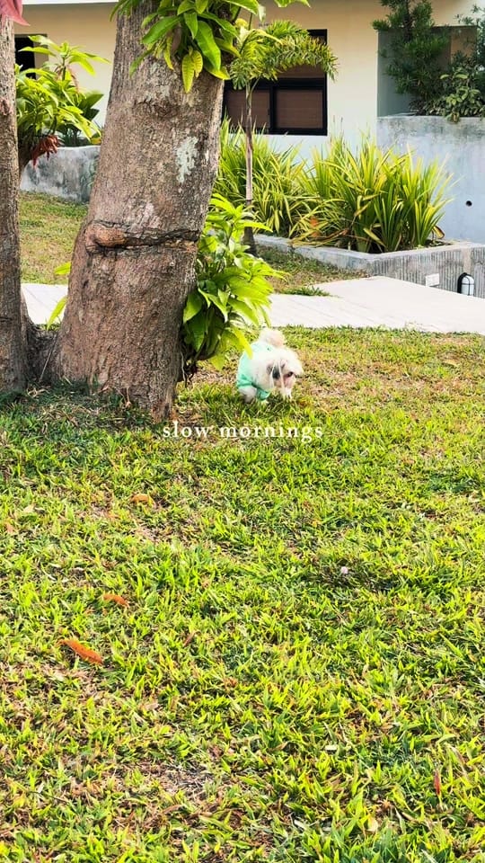 Post 1 by maggiethecuddlybears on TikTok (video)