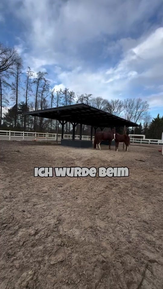 Post 7 by Beatrice on TikTok (video)