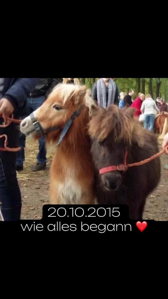 Post 8 by Lea Schmidt on TikTok (video)