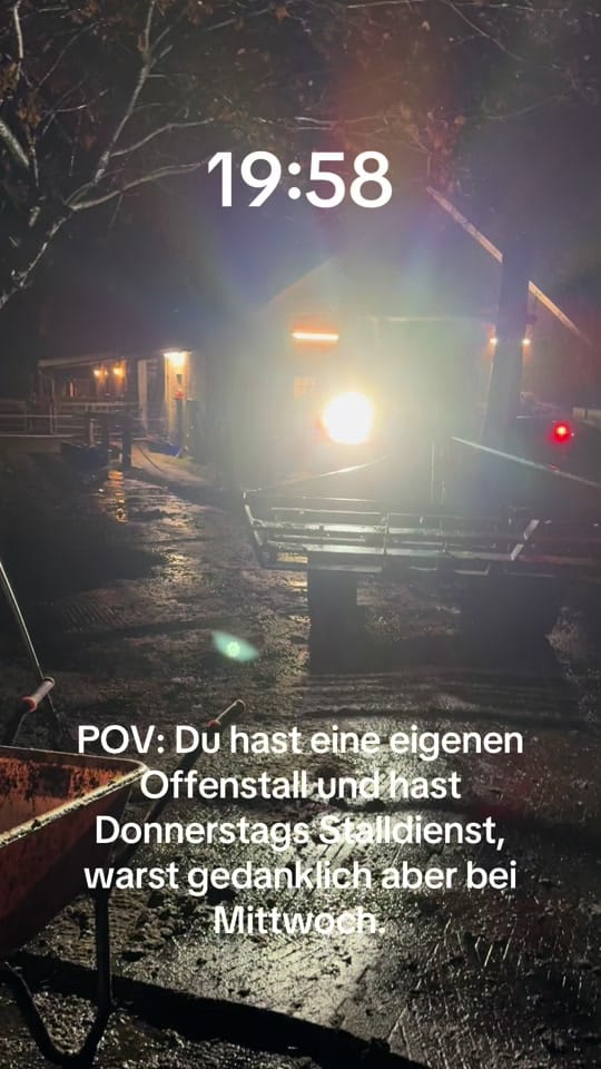 Post 3 by Lea Schmidt on TikTok (video)