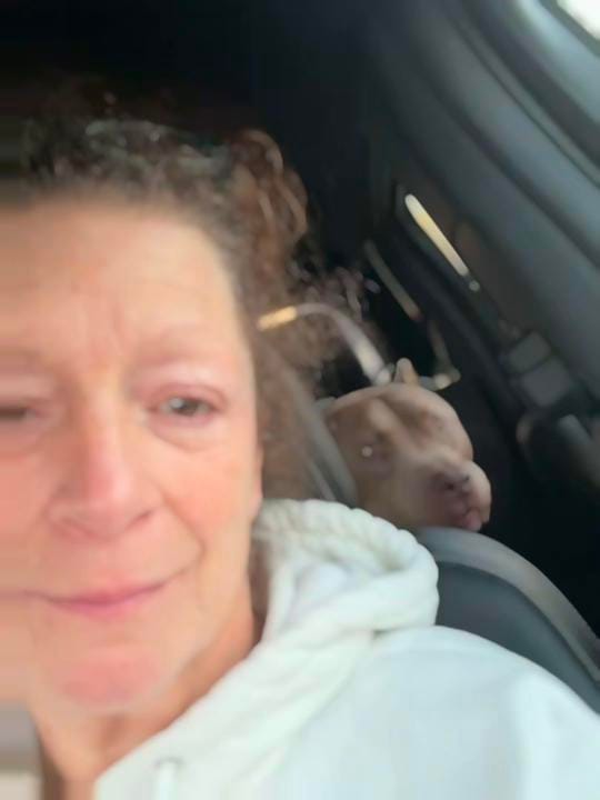 Post 7 by pittiemom44❌ on TikTok (video)