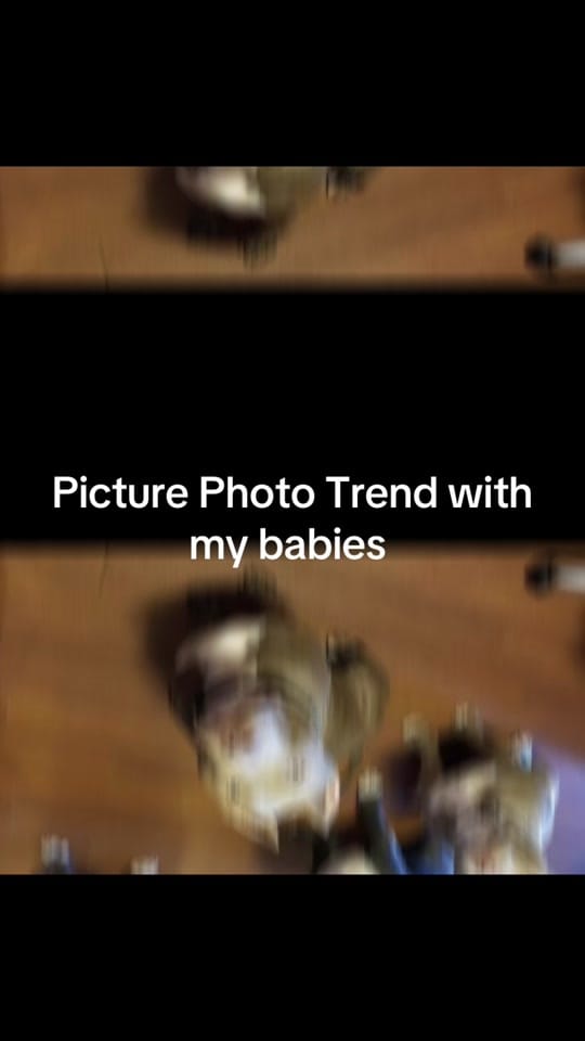 Post 5 by pittiemom44❌ on TikTok (video)