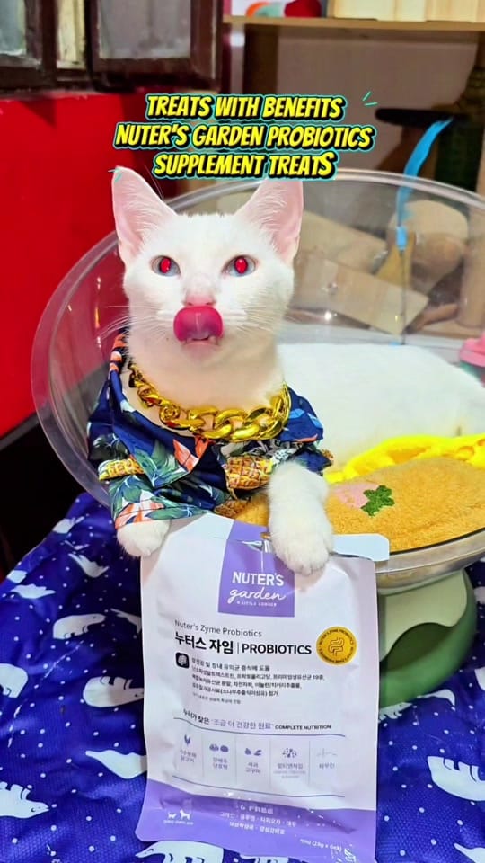 Post 8 by Nenita Celso on TikTok (video)