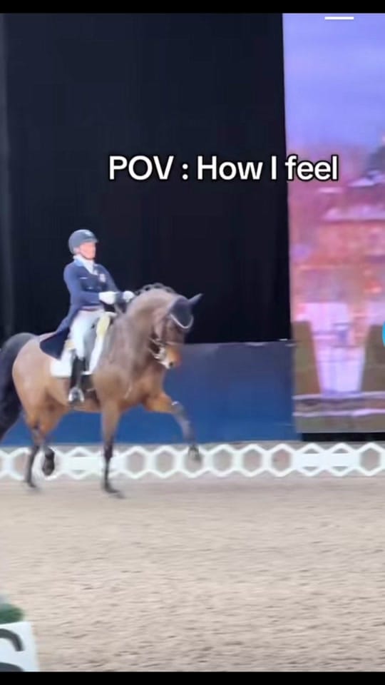 Post 5 by equestrian_Julia_horses on TikTok (video)