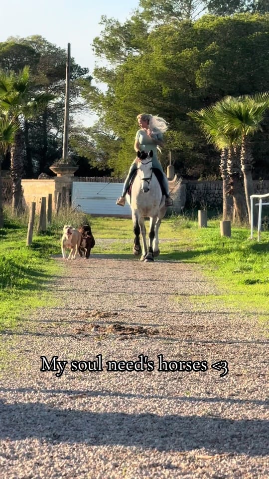 Post 4 by equestrian_Julia_horses on TikTok (video)