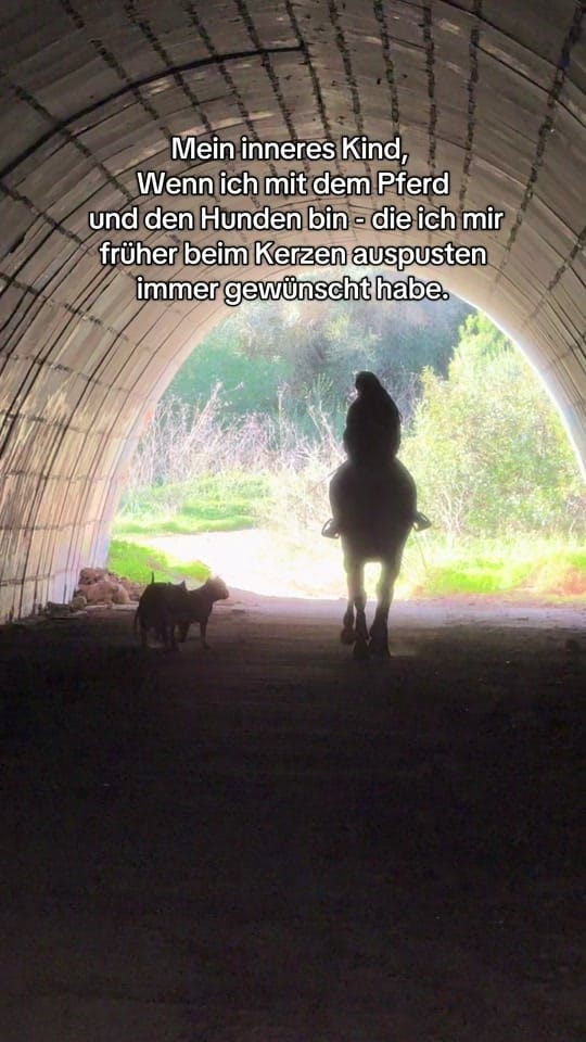 Post 7 by equestrian_Julia_horses on TikTok (video)