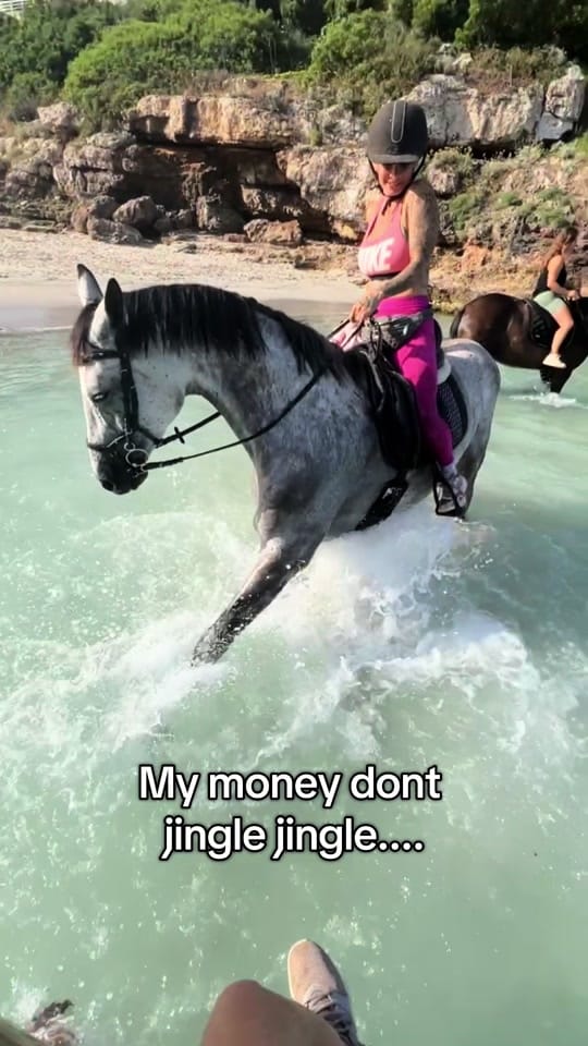Post 3 by equestrian_Julia_horses on TikTok (video)