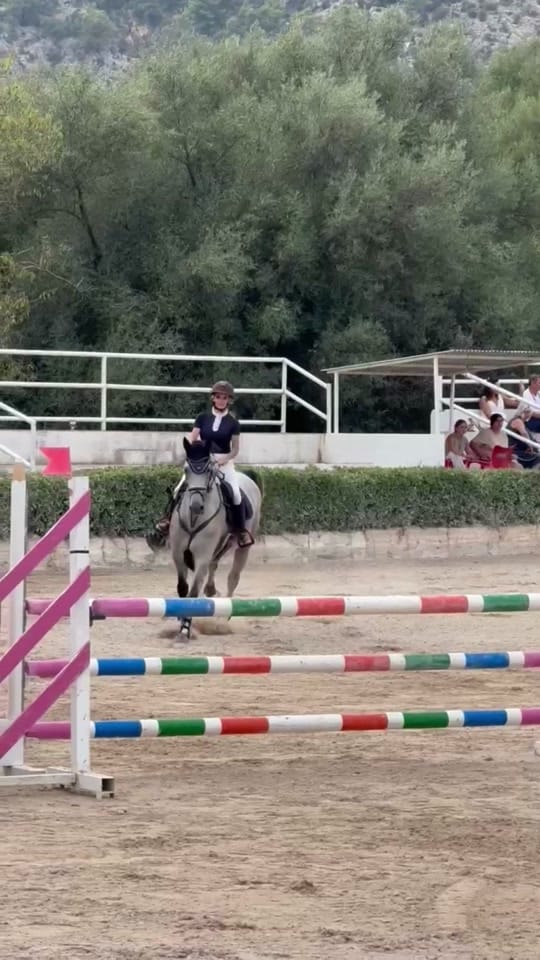 Post 9 by equestrian_Julia_horses on TikTok (video)