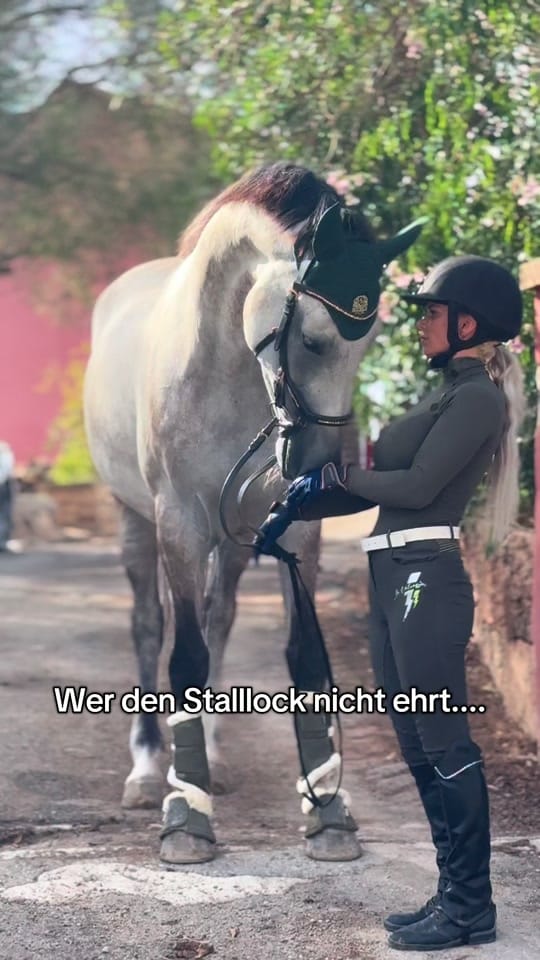Post 6 by equestrian_Julia_horses on TikTok (video)