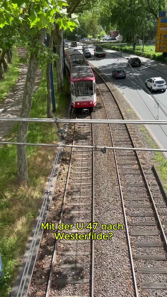 Post 4 by WochenDOsis | WAZ Dortmund on TikTok (video)