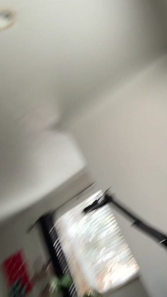 Post 10 by ParrottPaints on TikTok (video)