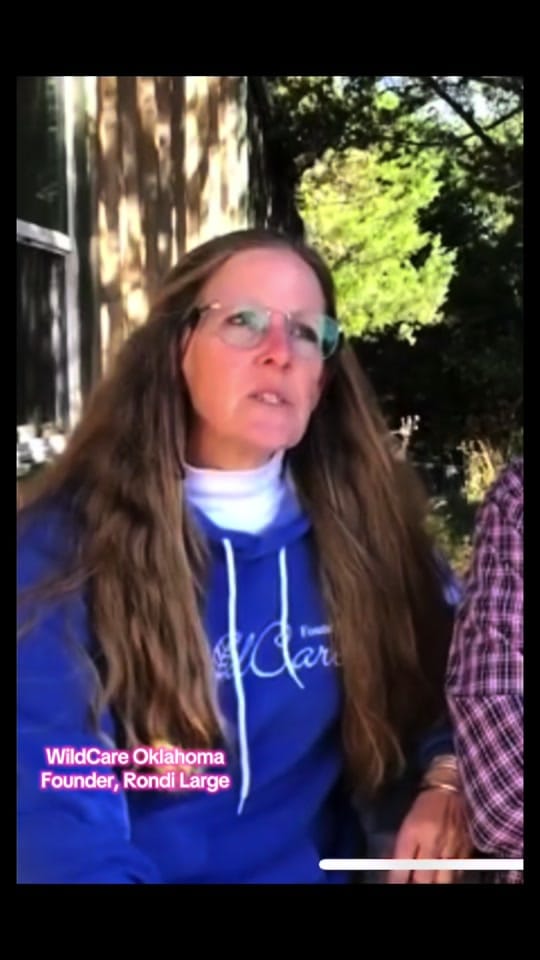 Post 9 by WildCare Oklahoma on TikTok (video)