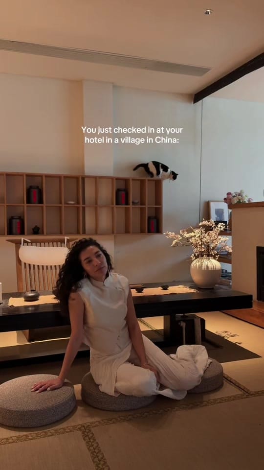 Post 5 by Cynthia | Travel Muse on TikTok (video)