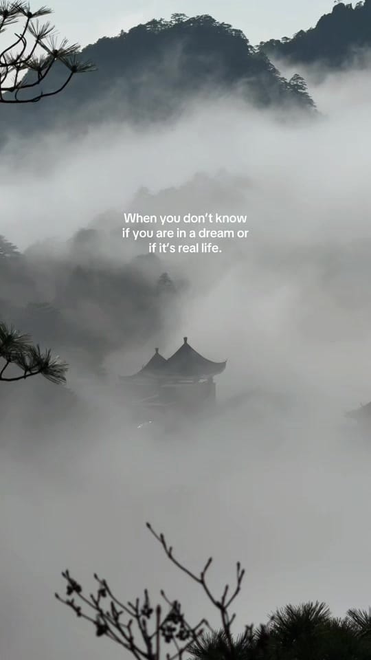 Post 8 by Cynthia | Travel Muse on TikTok (video)
