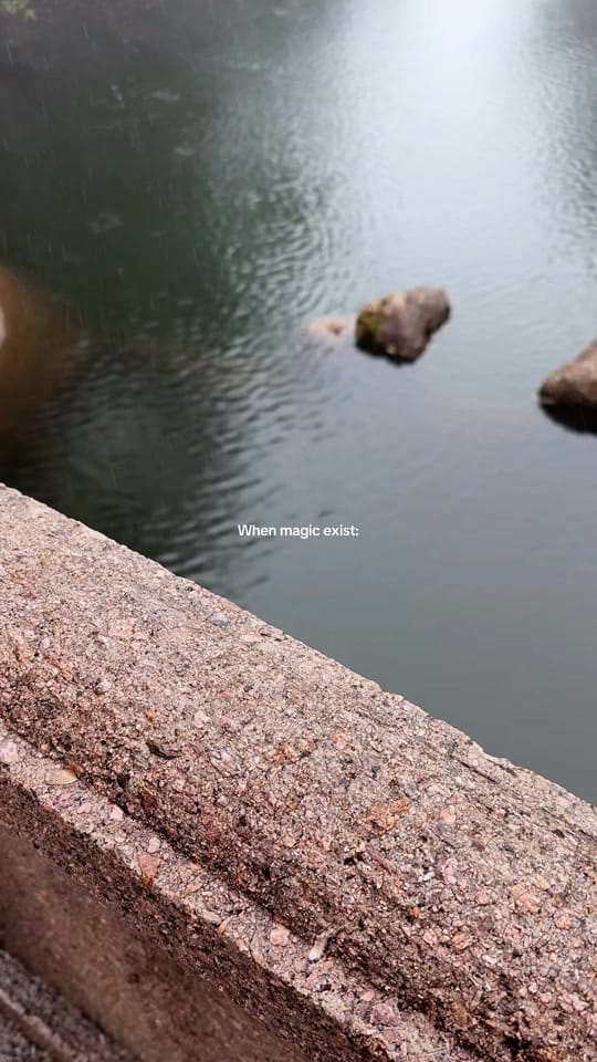 Post 9 by Cynthia | Travel Muse on TikTok (video)