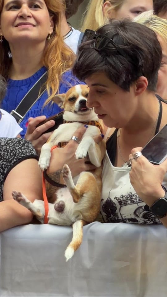 Post 1 by Carito | UGC Spain on TikTok (video)