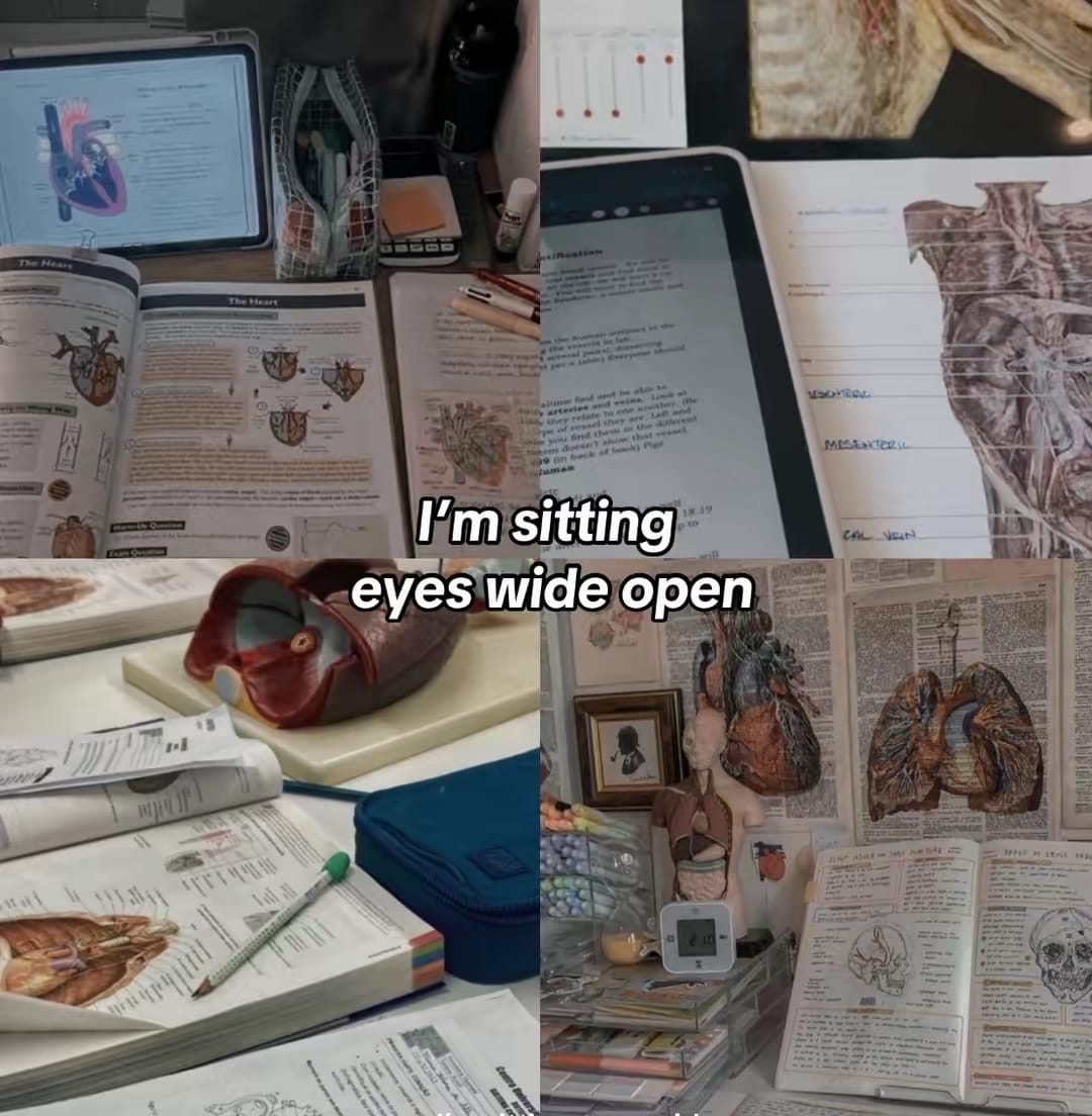 Post 6 by Zoe on TikTok (video)