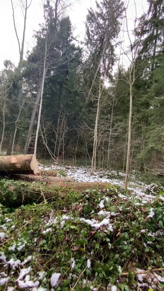 Post 6 by Prumsei☝🏻 on TikTok (video)