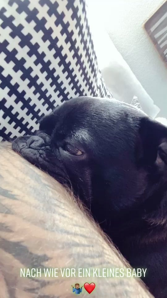 Post 10 by DonFreez on TikTok (video)
