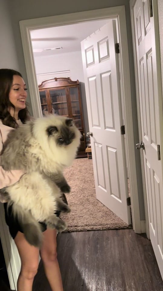 Post 6 by Sprinkles&Sweetcheeks on TikTok (video)