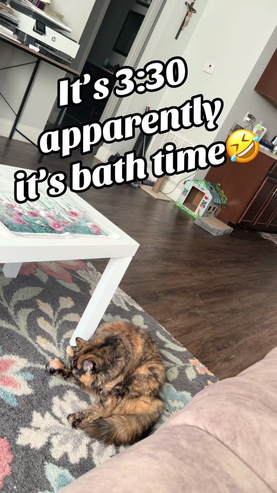 Post 5 by Sprinkles&Sweetcheeks on TikTok (video)