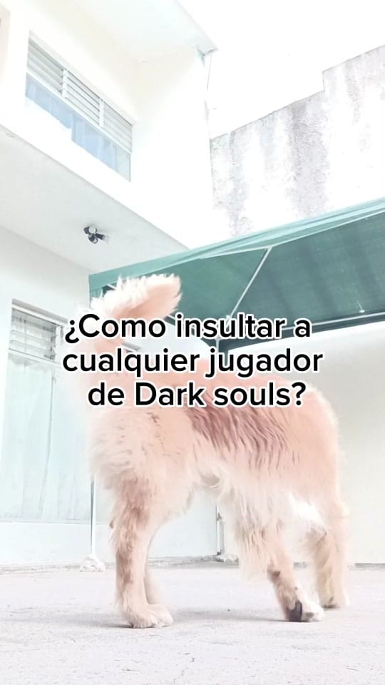 Post 7 by DRADROX_ on TikTok (video)