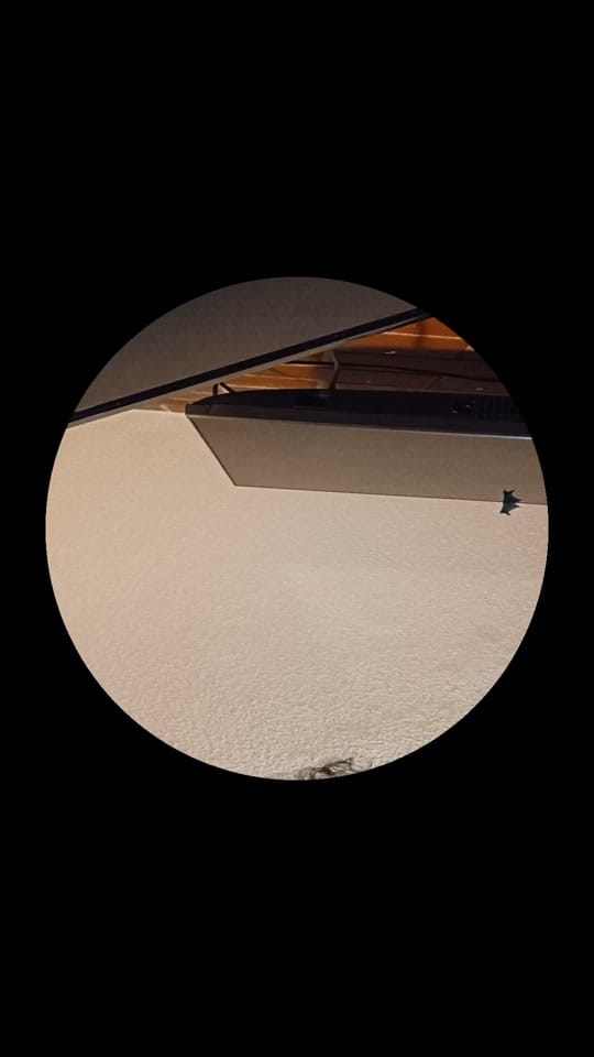 Post 2 by DRADROX_ on TikTok (video)