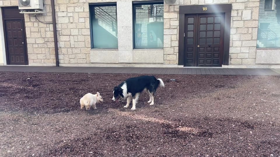 Post 1 by Fio on TikTok (video)