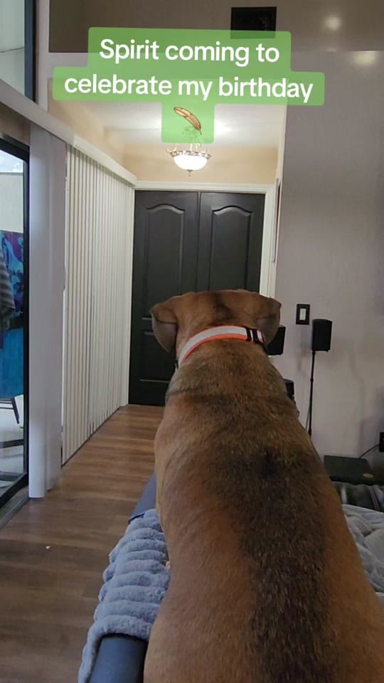 Post 1 by Margy Willford Medium on TikTok (video)