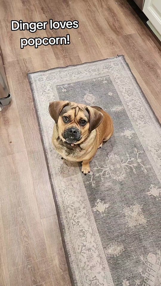 Post 5 by Margy Willford Medium on TikTok (video)