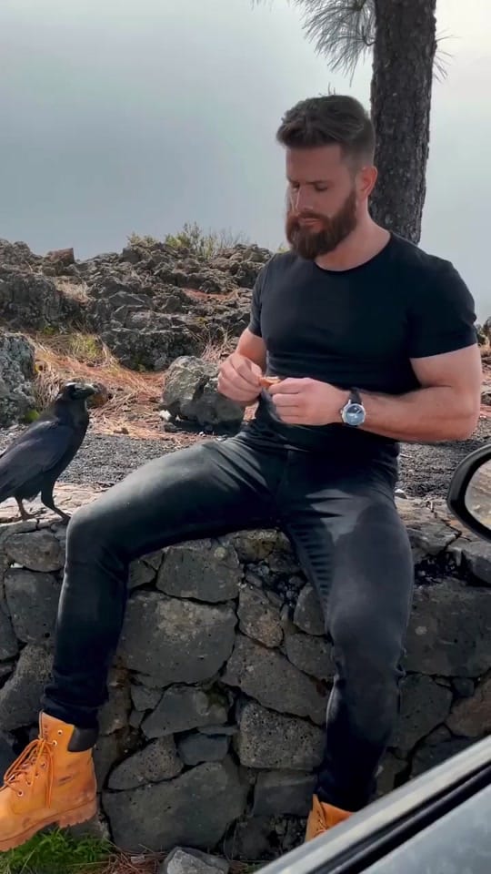 Post 5 by danjuergen on TikTok (video)