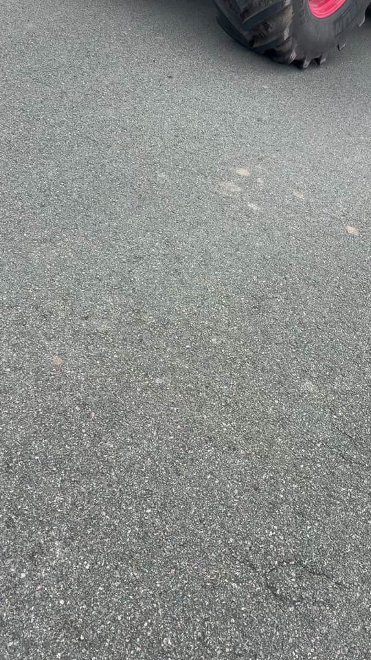 Post 5 by Emilian Agrar on TikTok (video)