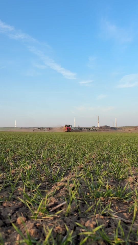Post 6 by Emilian Agrar on TikTok (video)