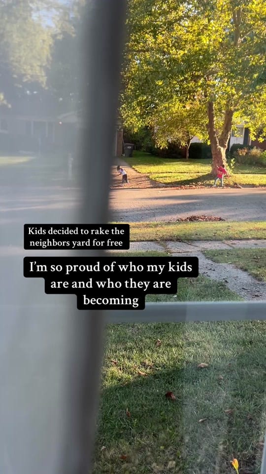 Post 2 by Janeve | Trauma Therapist 🌿 on TikTok (video)