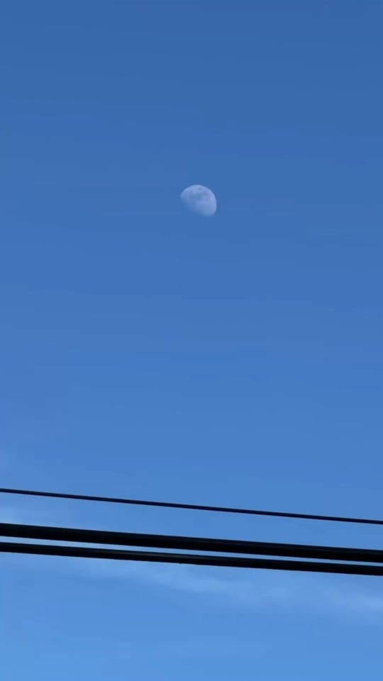 Post 7 by Erik Schmitt on TikTok (video)