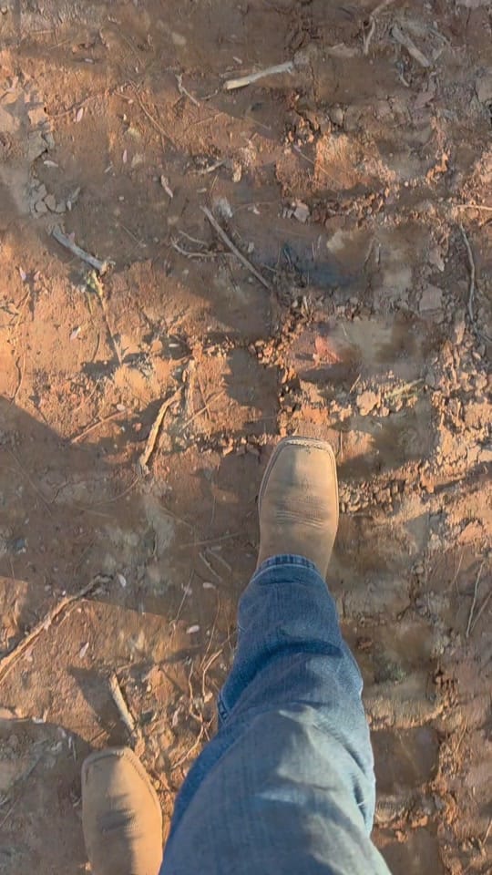 Post 10 by Cody Greene on TikTok (video)