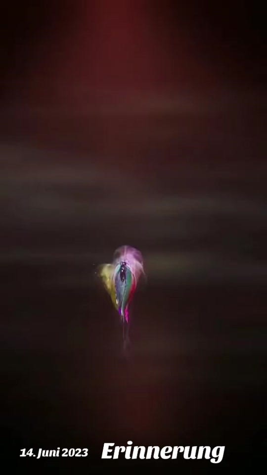 Post 4 by *C@rmen* on TikTok (video)