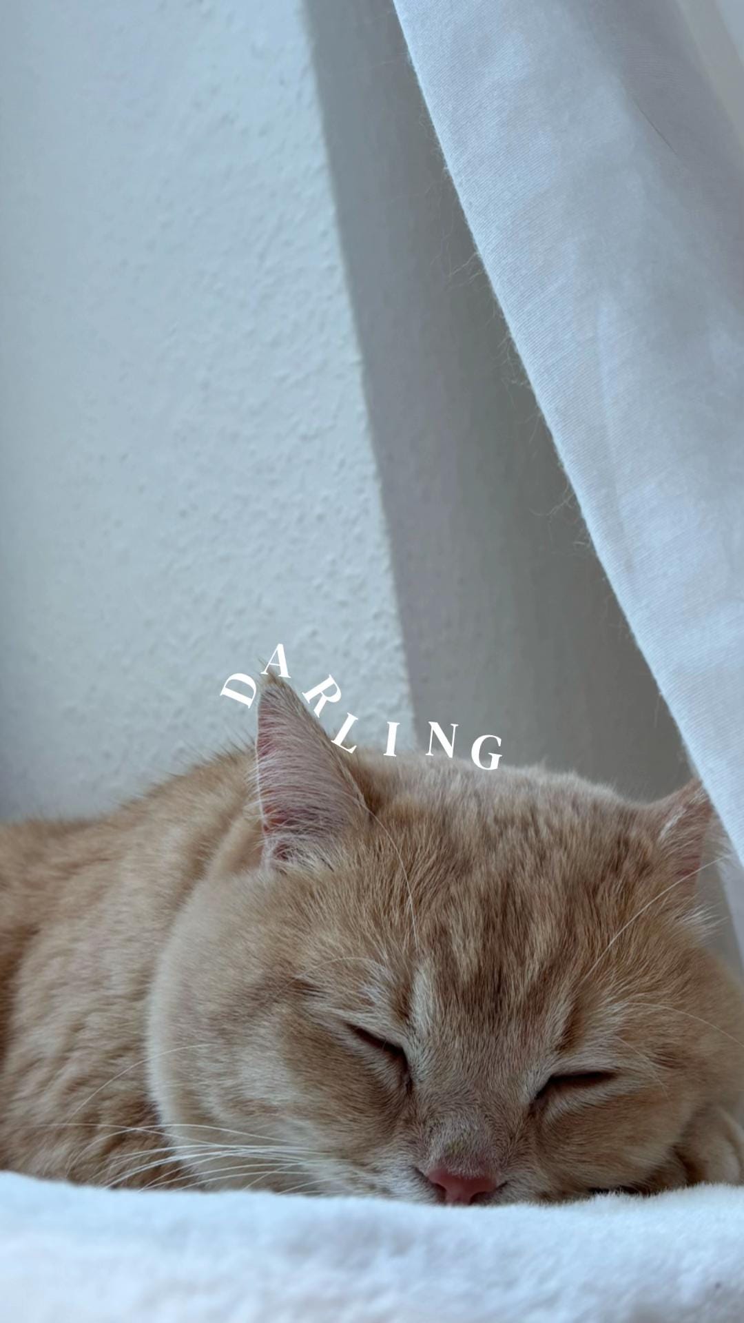 Post 4 by Lotta Marlene Jensen on TikTok (video)