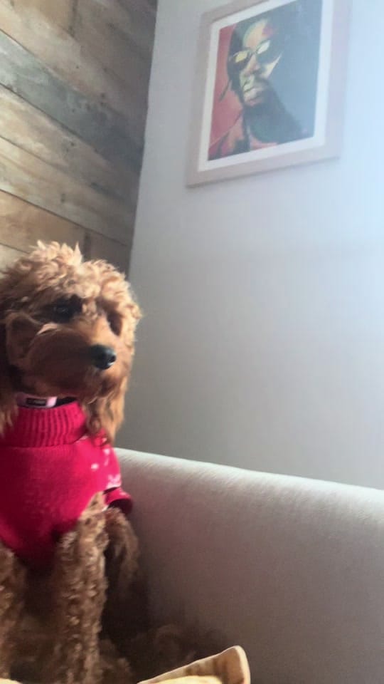 Post 3 by Natilia on TikTok (video)