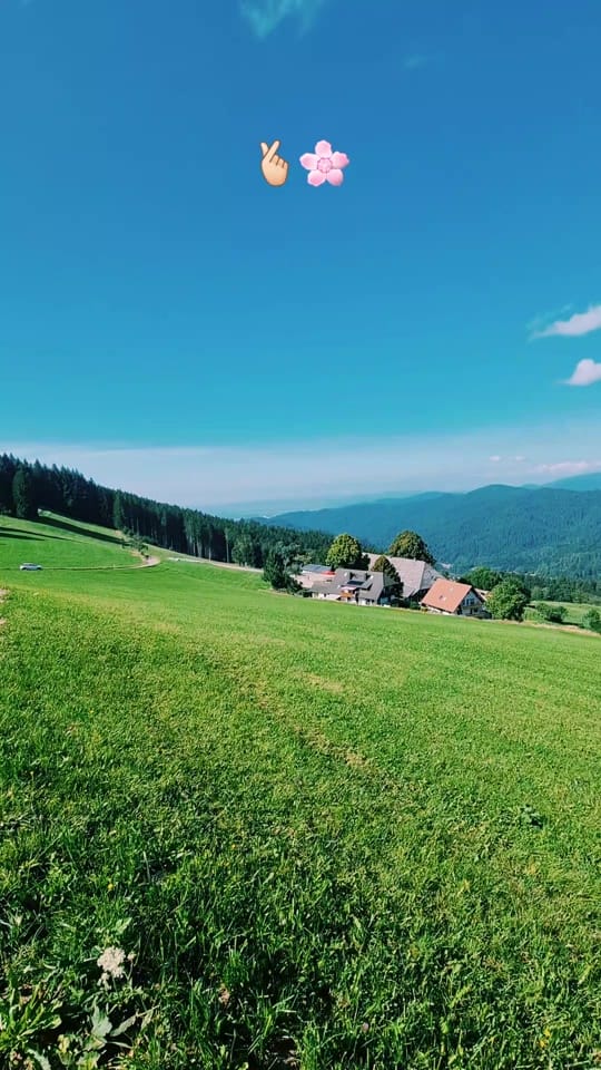 Post 10 by أبو ناصر 🙋🏻‍♂️"📸" on TikTok (video)