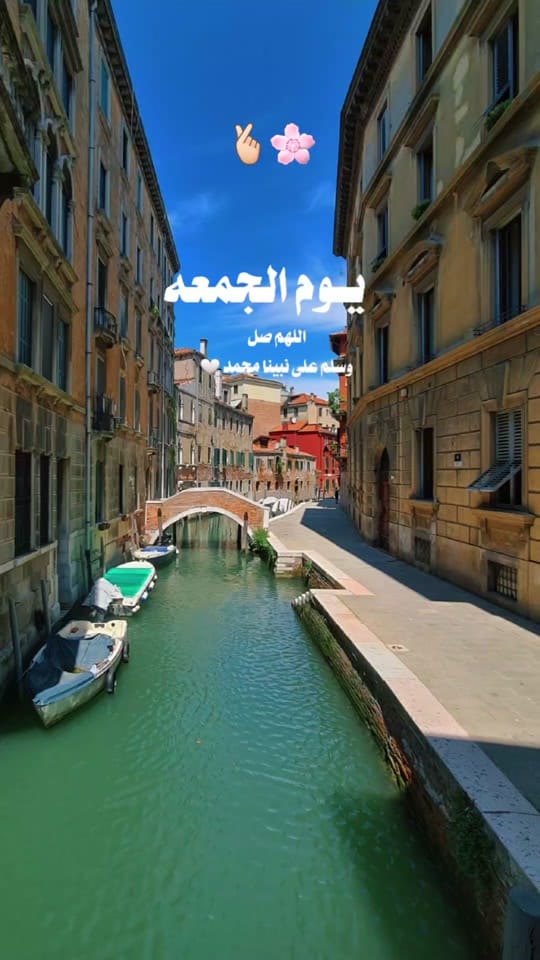 Post 4 by أبو ناصر 🙋🏻‍♂️"📸" on TikTok (video)