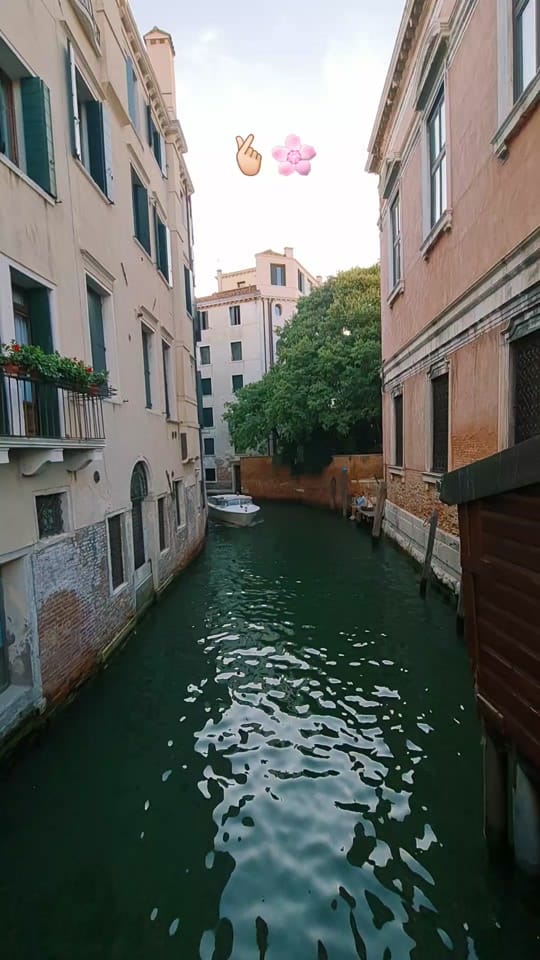 Post 5 by أبو ناصر 🙋🏻‍♂️"📸" on TikTok (video)
