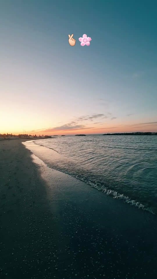 Post 8 by أبو ناصر 🙋🏻‍♂️"📸" on TikTok (video)