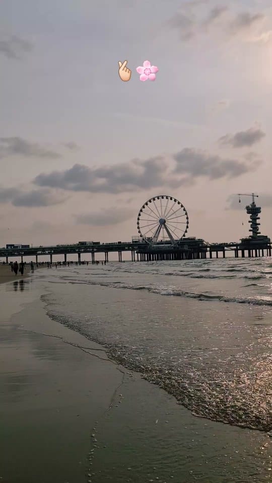 Post 9 by أبو ناصر 🙋🏻‍♂️"📸" on TikTok (video)
