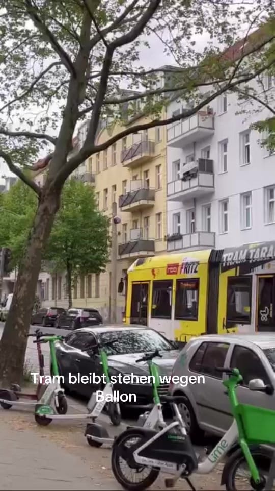 Post 5 by Dasistberlinbitch on TikTok (video)