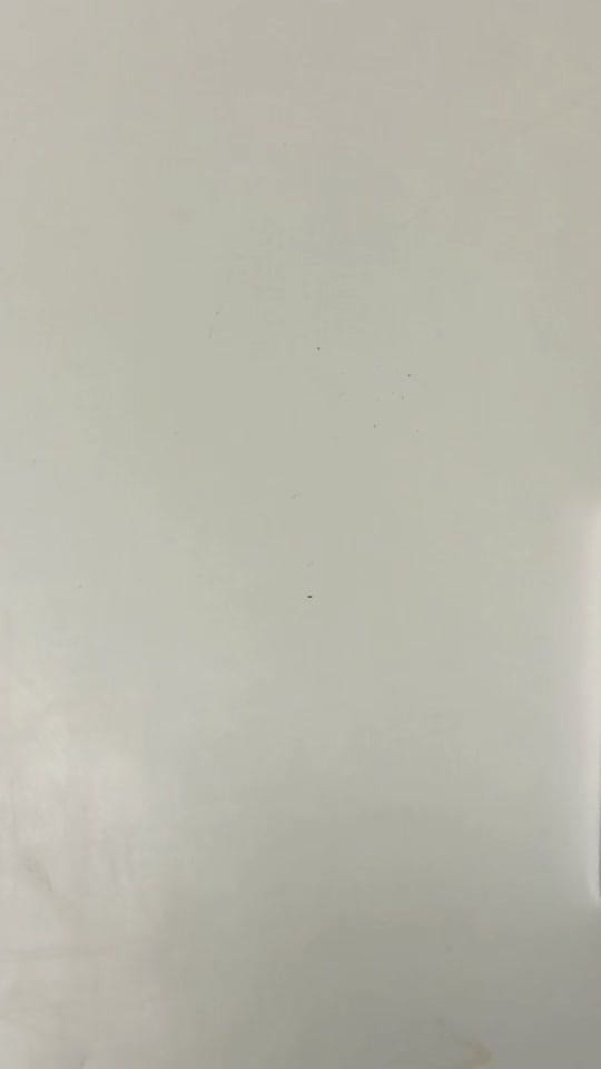 Post 1 by Raneem Lenses | 🇩🇪 on TikTok (video)