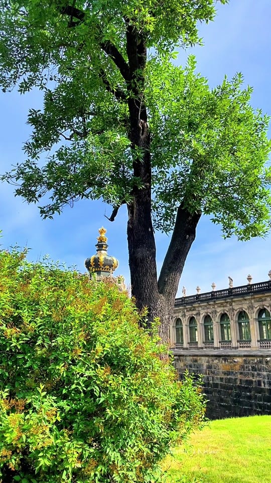 Post 8 by City Nature Beautifuls 🌱 on TikTok (video)